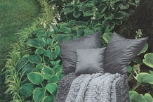 a0120018546_10-1556201900-640x641-1556204920