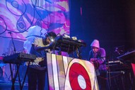 Animal Collective – “Summer Blaze”