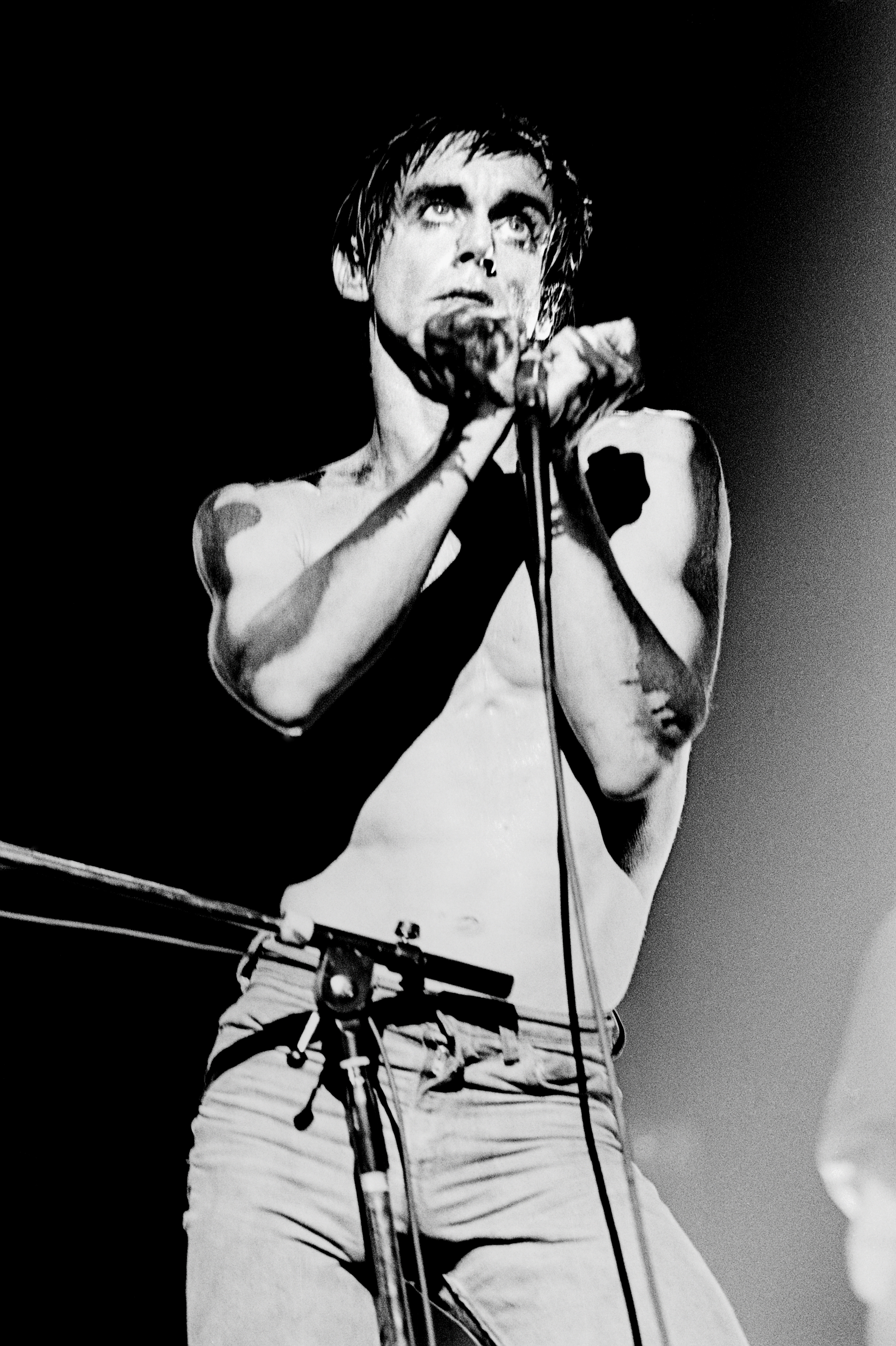 Iggy Pop: Our 1986 Cover Story