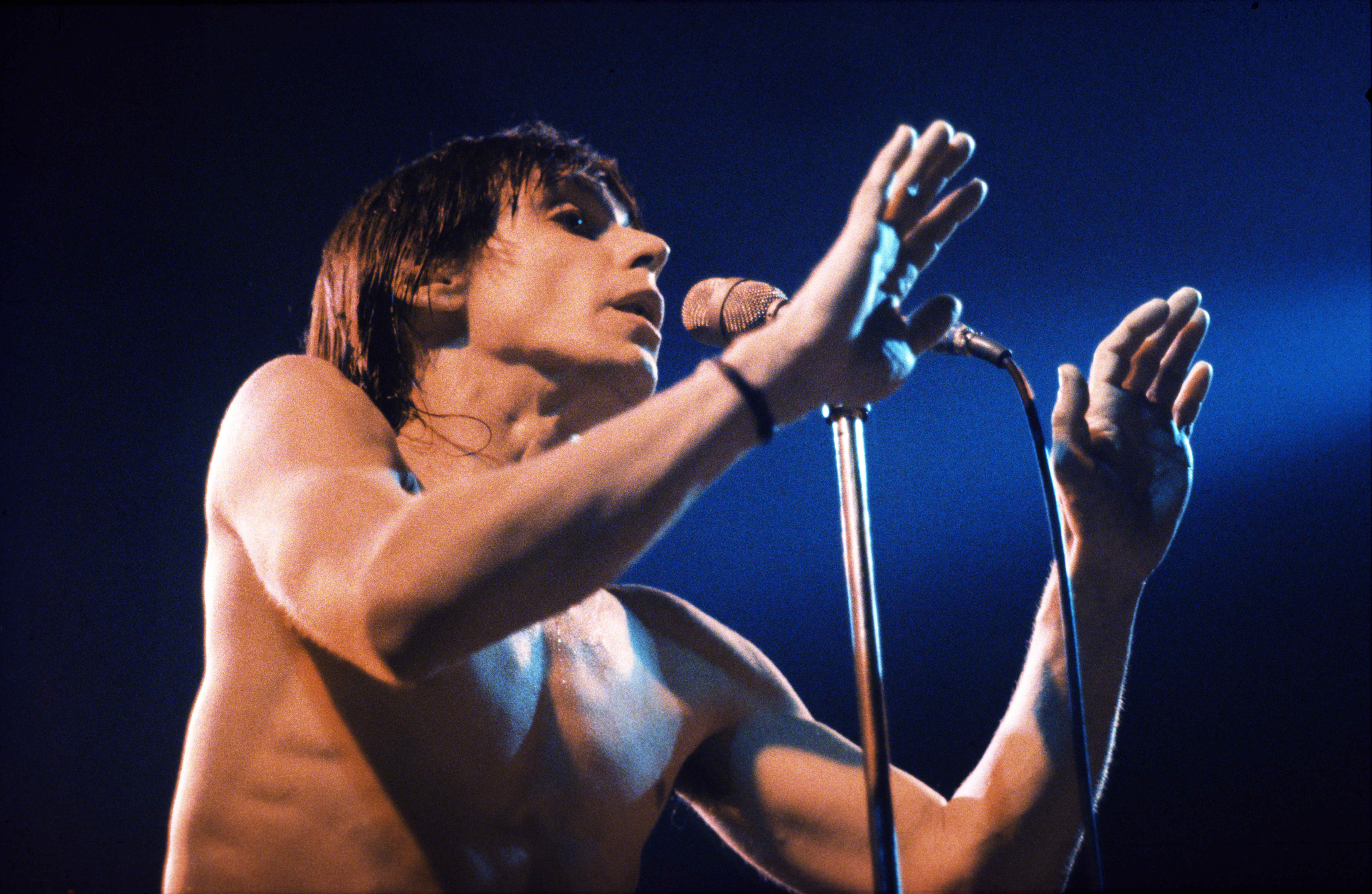 Iggy Pop: Our 1986 Cover Story