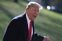 Trump Denies Ordering Aides to Price Moat Filled With Gators and Snakes at Southern Border