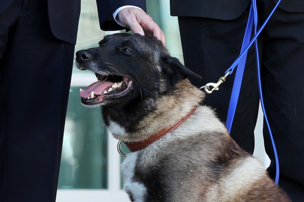 Conan the Military Dog Honored at White House