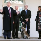 trump-conan-military-dog-white-house-157