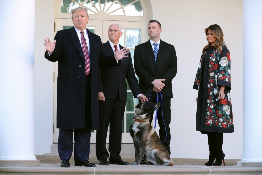 Donald Trump Avoids Touching Conan the Military Dog at White House