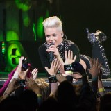 Pink Pledges $500K to Fight Australia Wildfires