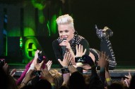 Pink Pledges $500K to Fight Australia Wildfires
