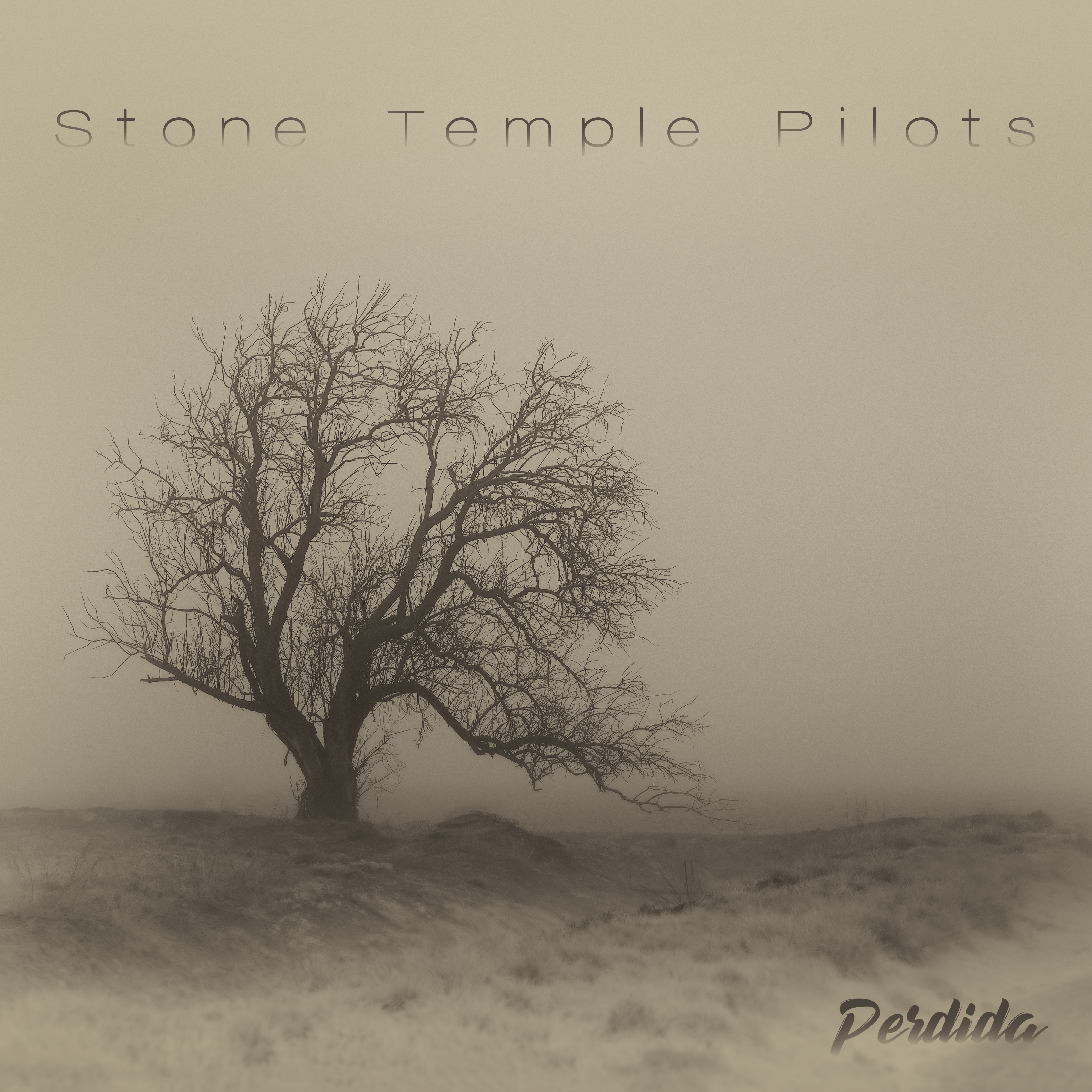 Stone Temple Pilots Perdida album cover