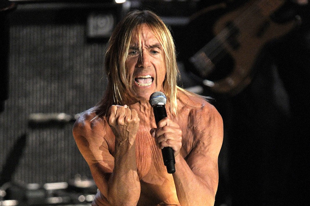 Iggy Pop at 25th Rock &  Roll Hall of Fame Induction Ceremony