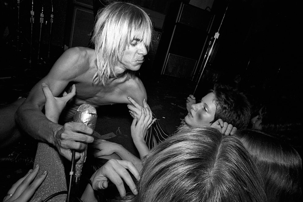 Iggy Pop The Stooges