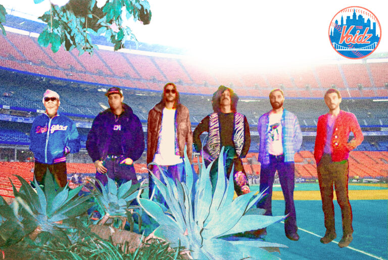 The Voidz New York Mets