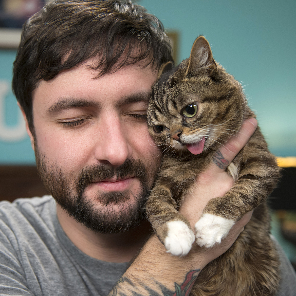 Jukebox Jury: Lil BUB Lets Us Know Which Famous Feline Songs Are the Cat's Meow