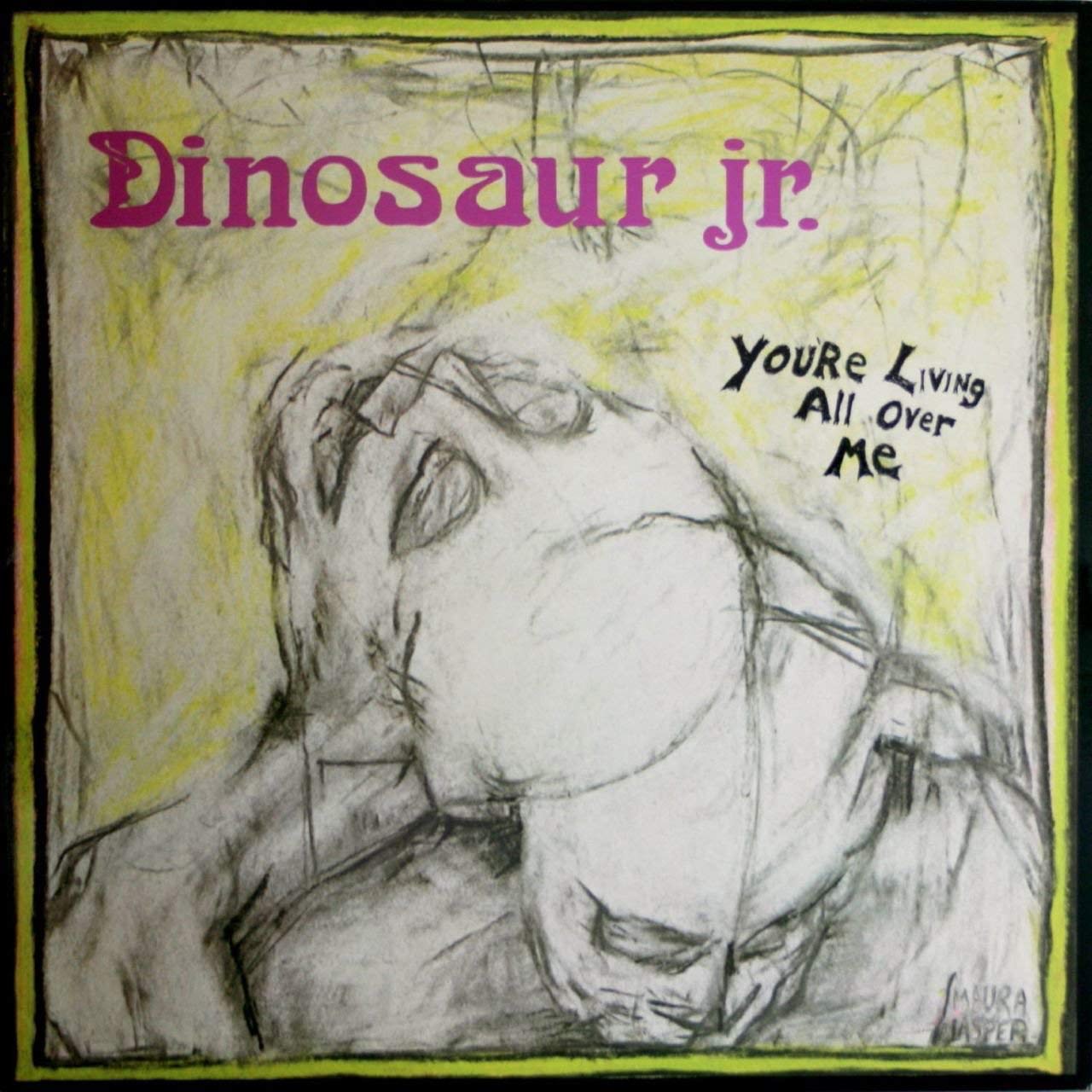 Dinosaur Jr You're Living All Over Me cover