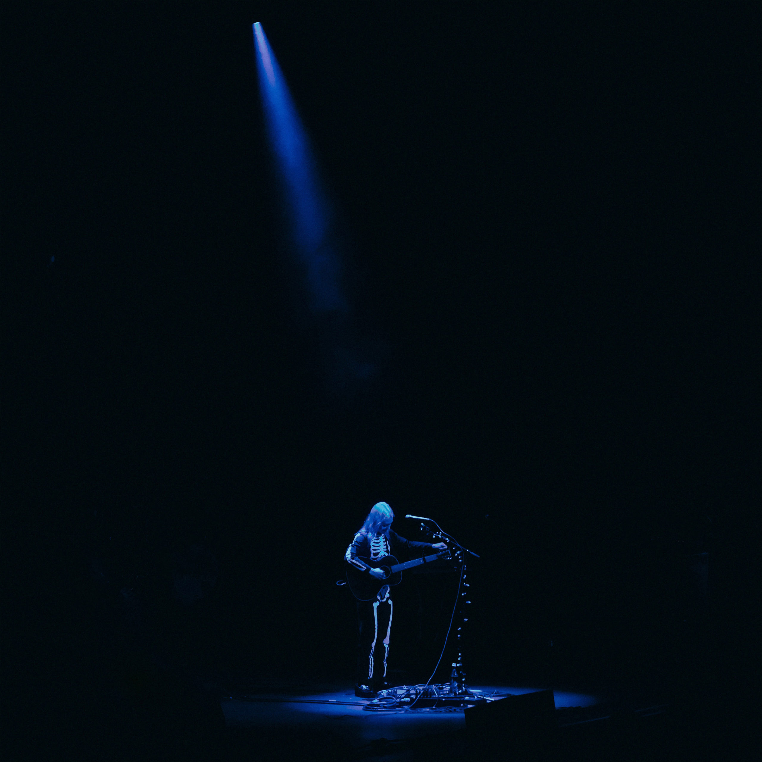 Dave Grohl Joins Boygenius At Hollywood Bowl Show