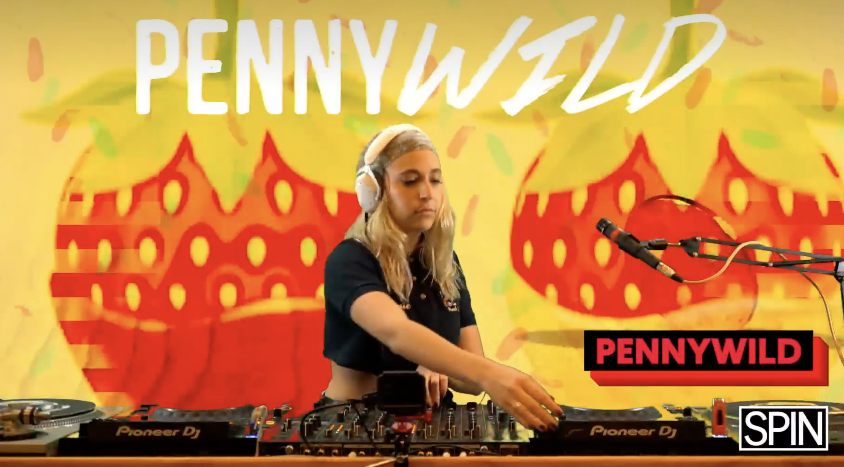 SPIN Sets | PENNYWILD