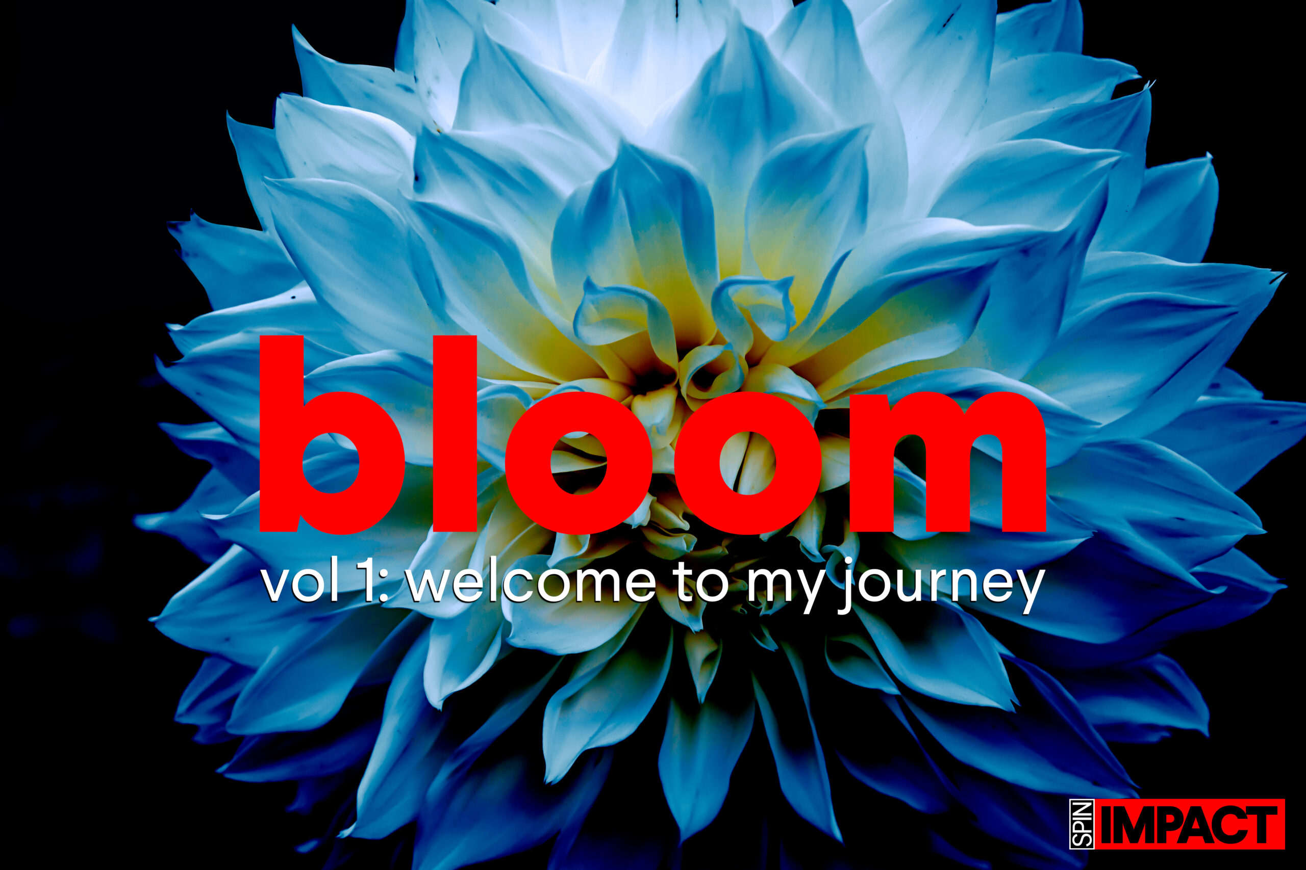 bloom-SPIN_IMPACT-Vol_1