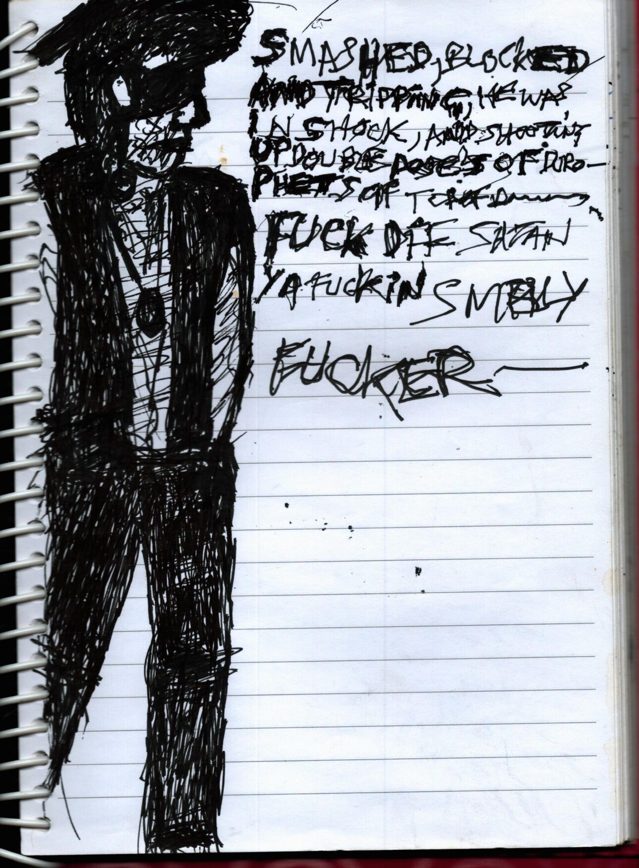 Shane MacGowan’s The Eternal Buzz and The Crock of Gold - SPIN