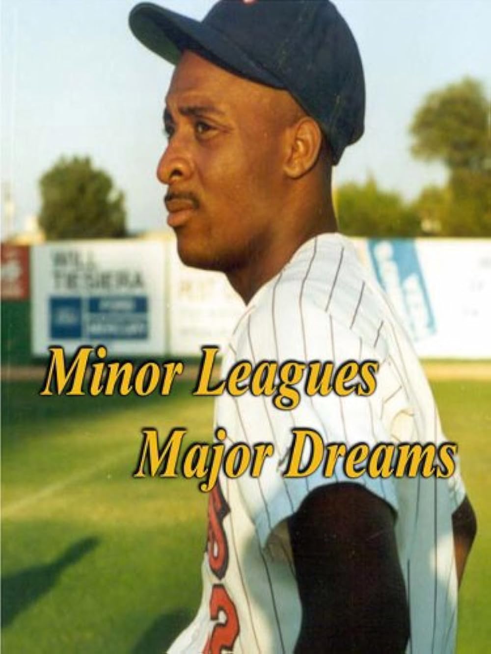 Minor Leagues Major Dreams