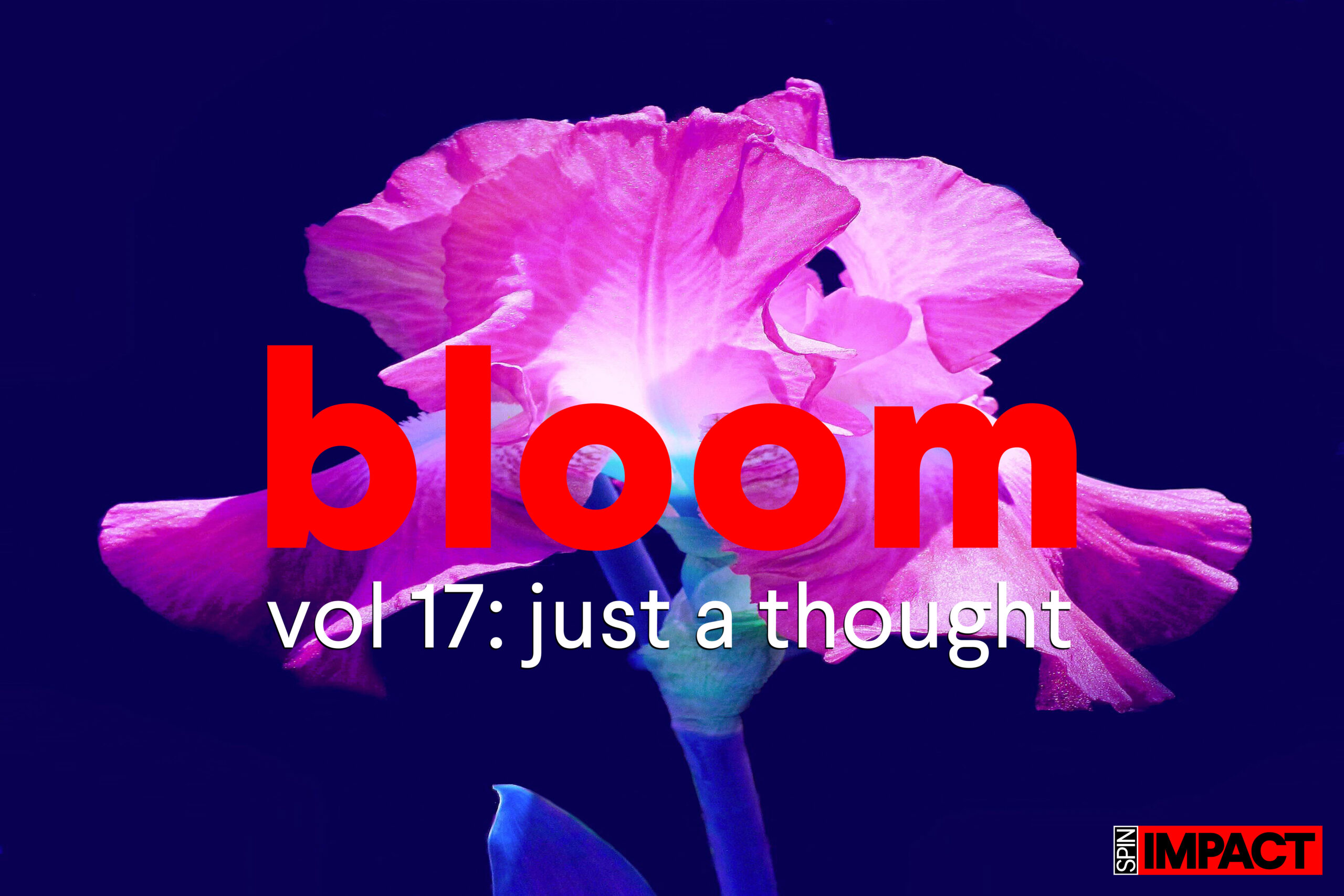 Bloom Vol 17: Just a Thought