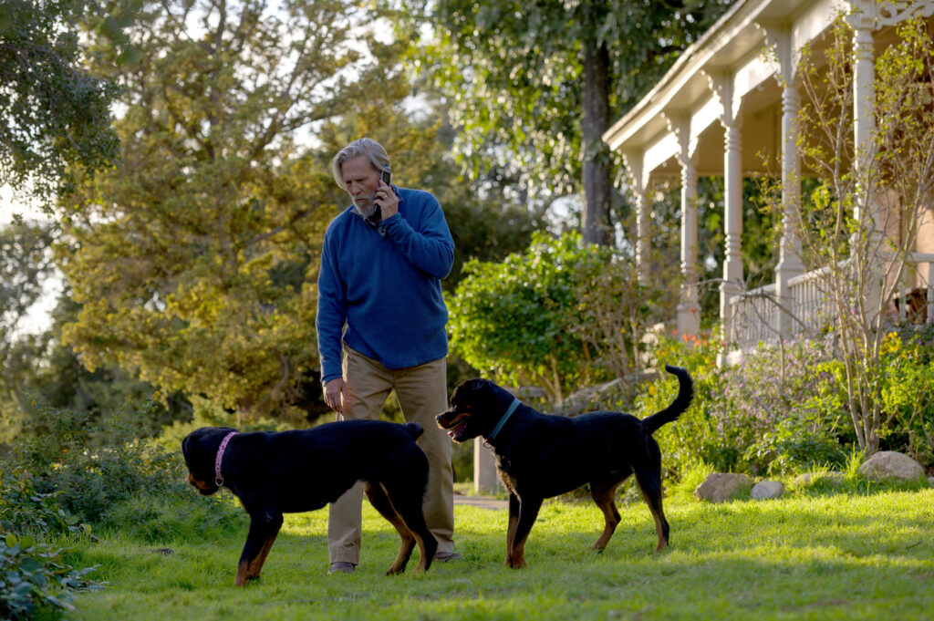 This is an image of Jeff Bridges with two dogs in the show The Old Man.