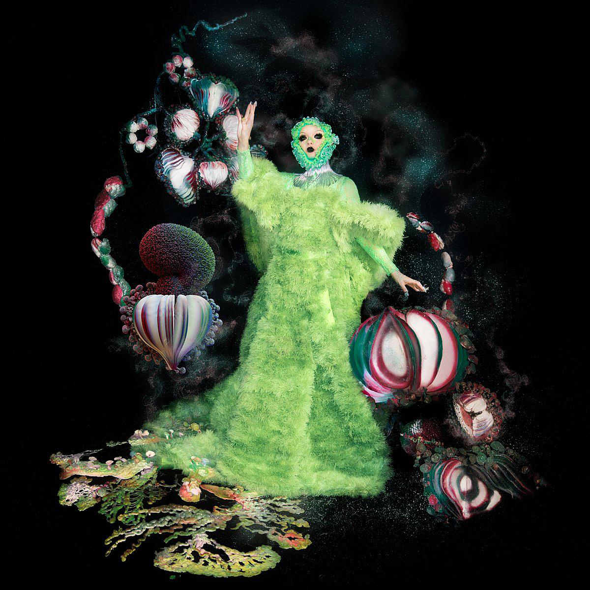 Björk Unveils <i>Fossora</i> Release Date, Cover Art