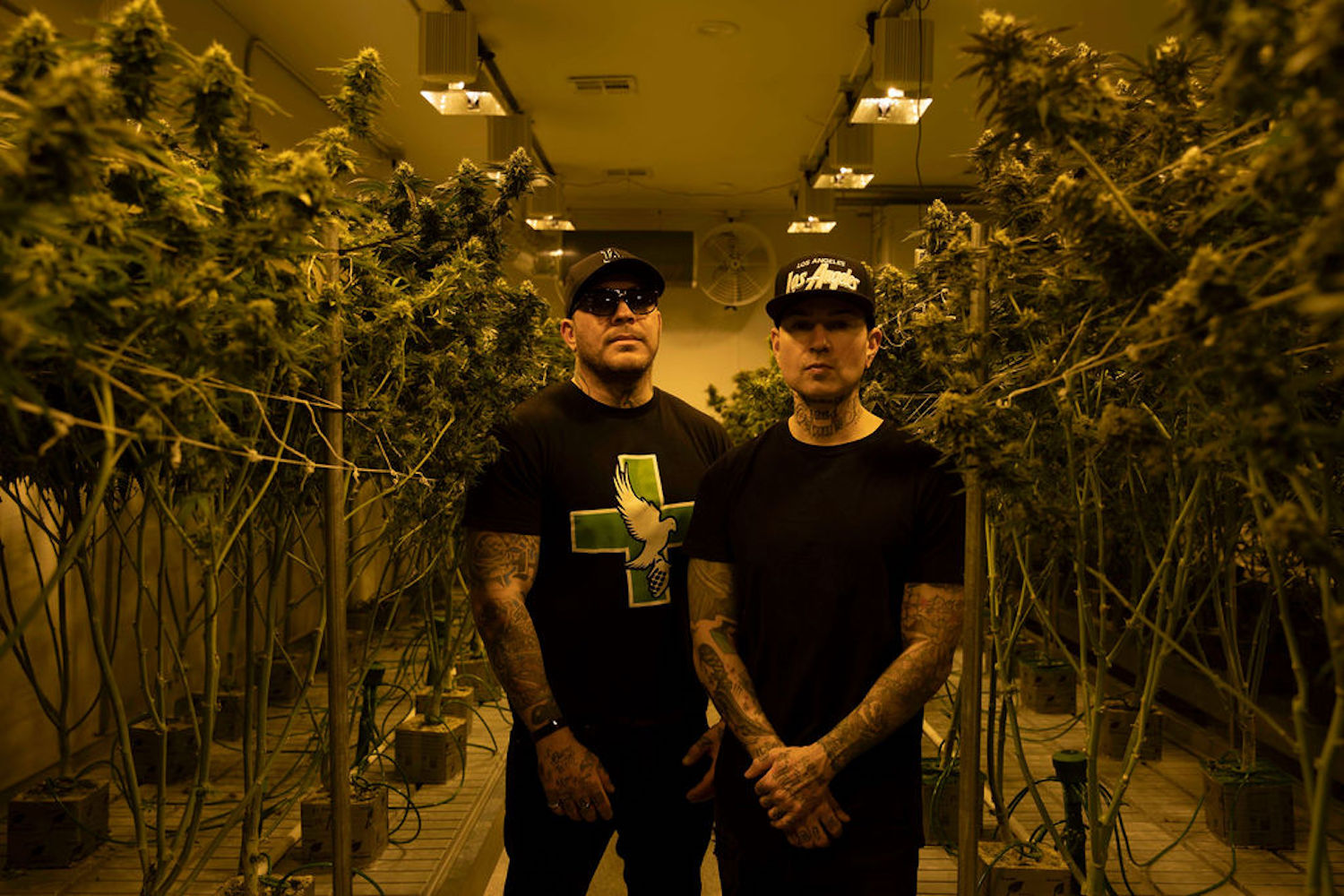 Odd Jobs: Hollywood Undead’s Always Been Cannabis Entrepreneurs — But