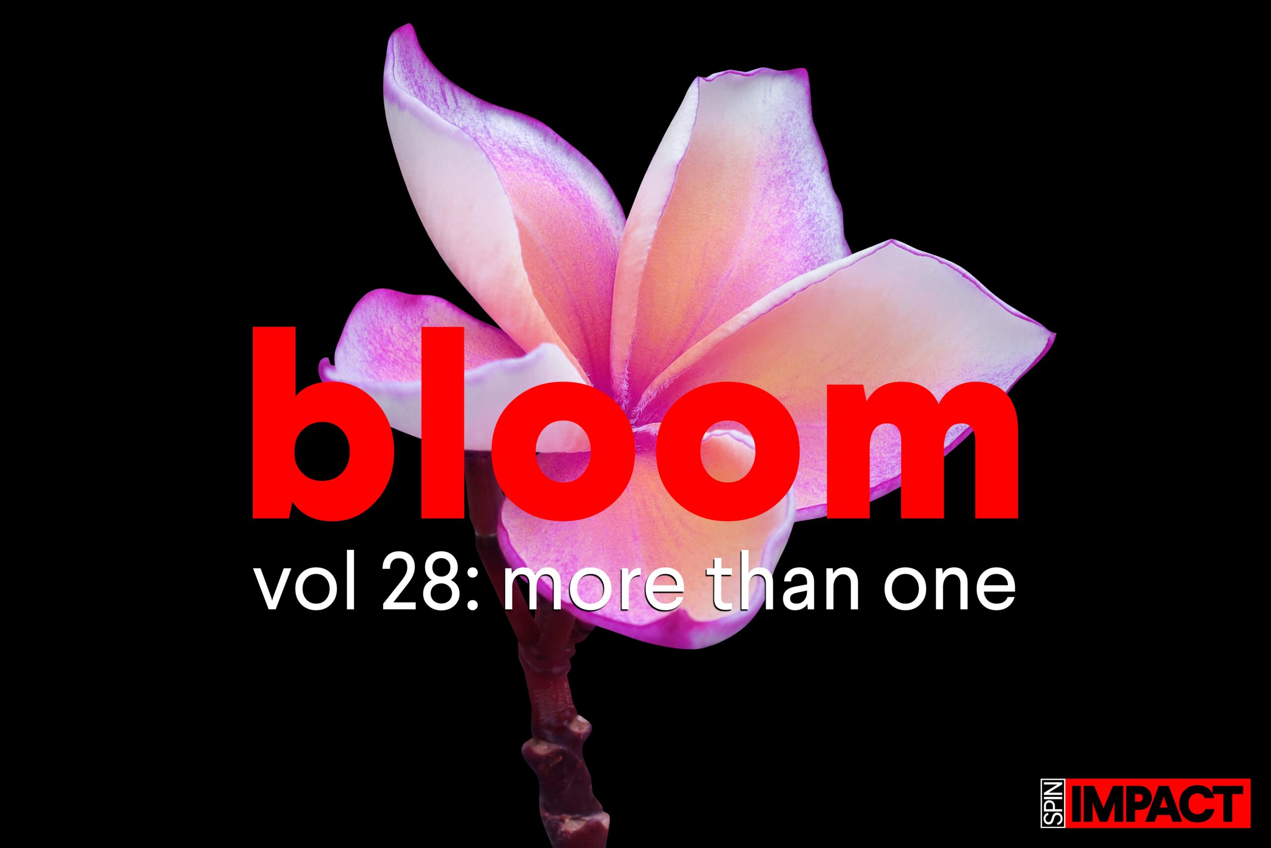 Bloom Vol. 28: More Than One