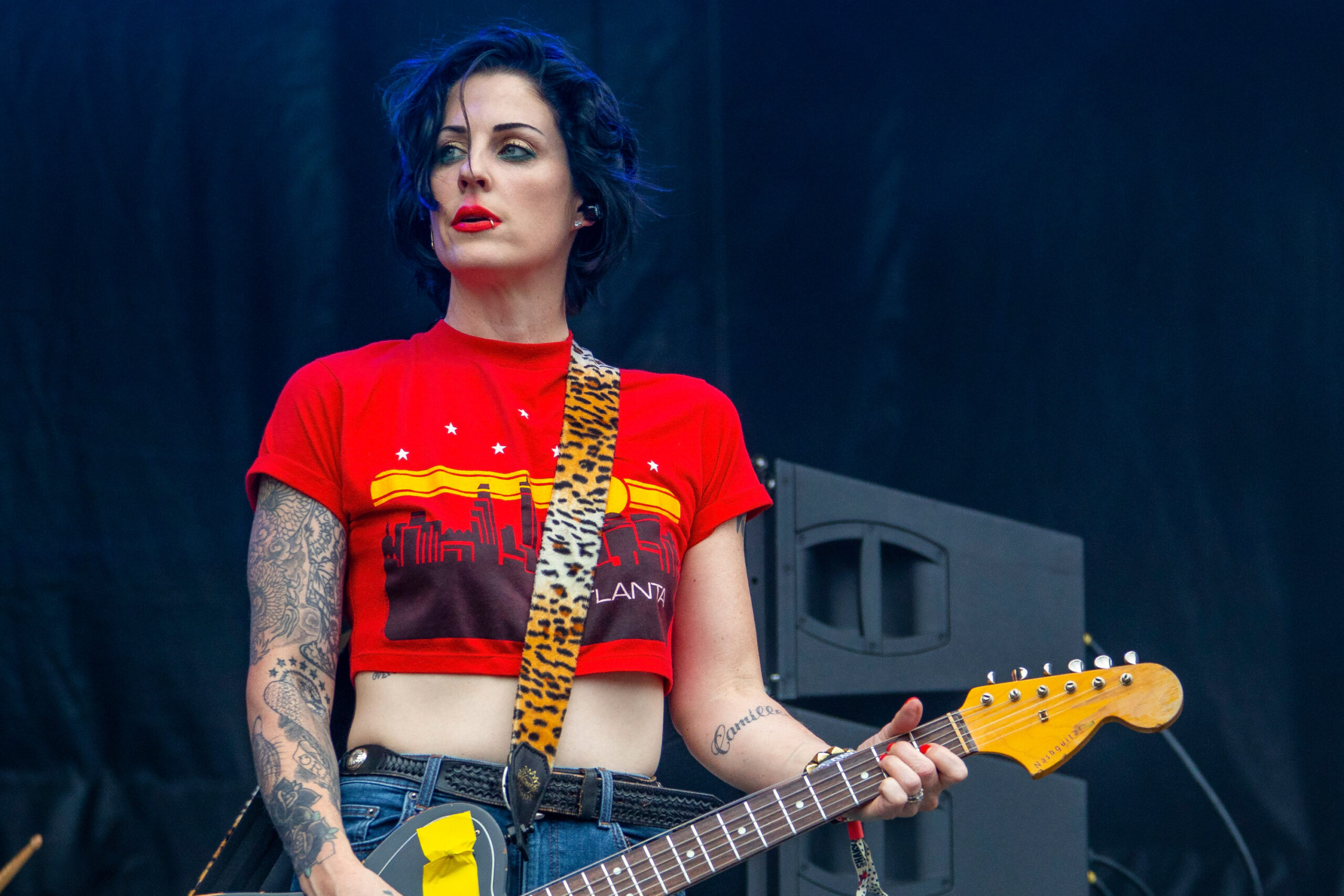 Brody Dalle, The Distillers