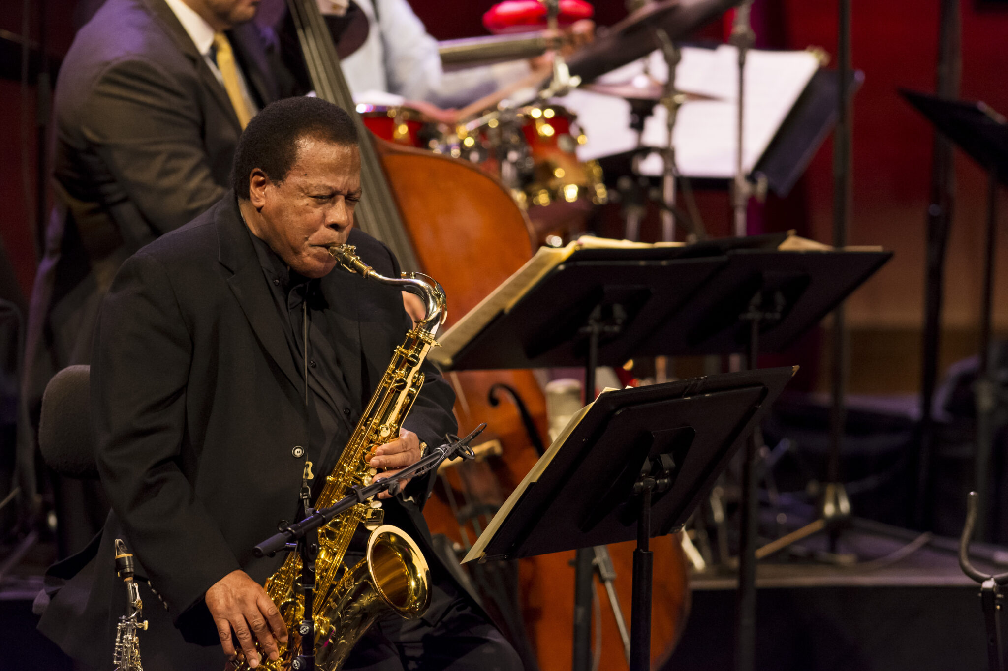 Wayne Shorter, Legendary Jazz Saxophonist, Dies at 89 SPIN