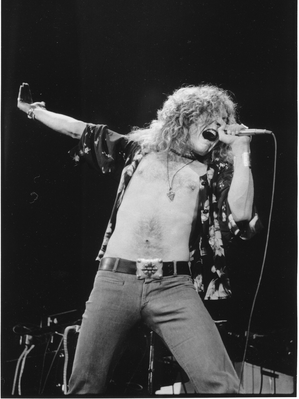 The unmistakable Robert Plant (Credit: Chris Walter/WireImage)