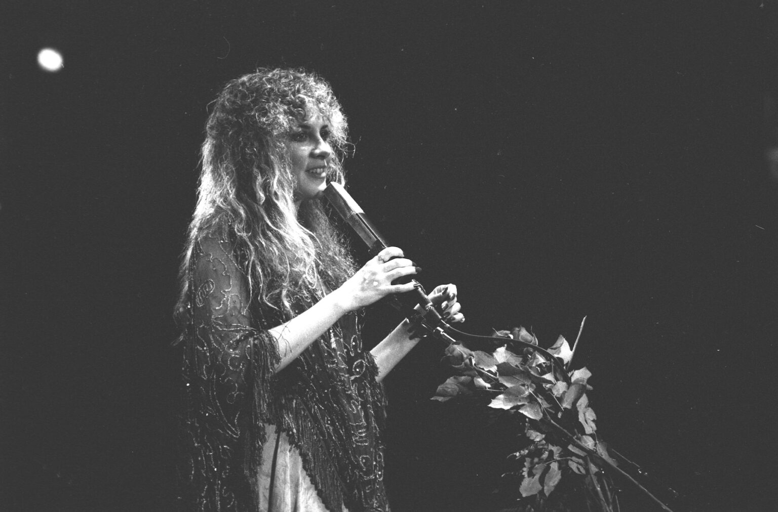 Every Stevie Nicks Album, Ranked SPIN