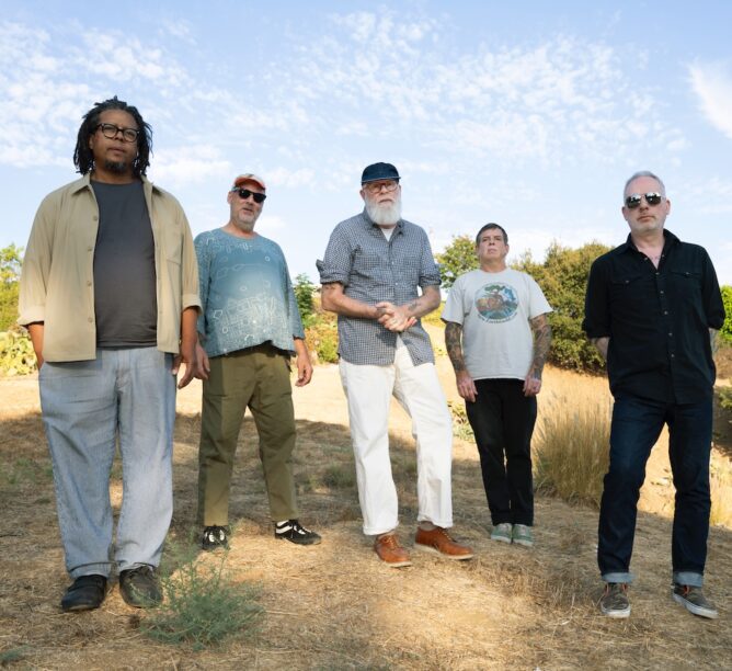 Tortoise. (Credit: Heather Cantrell)