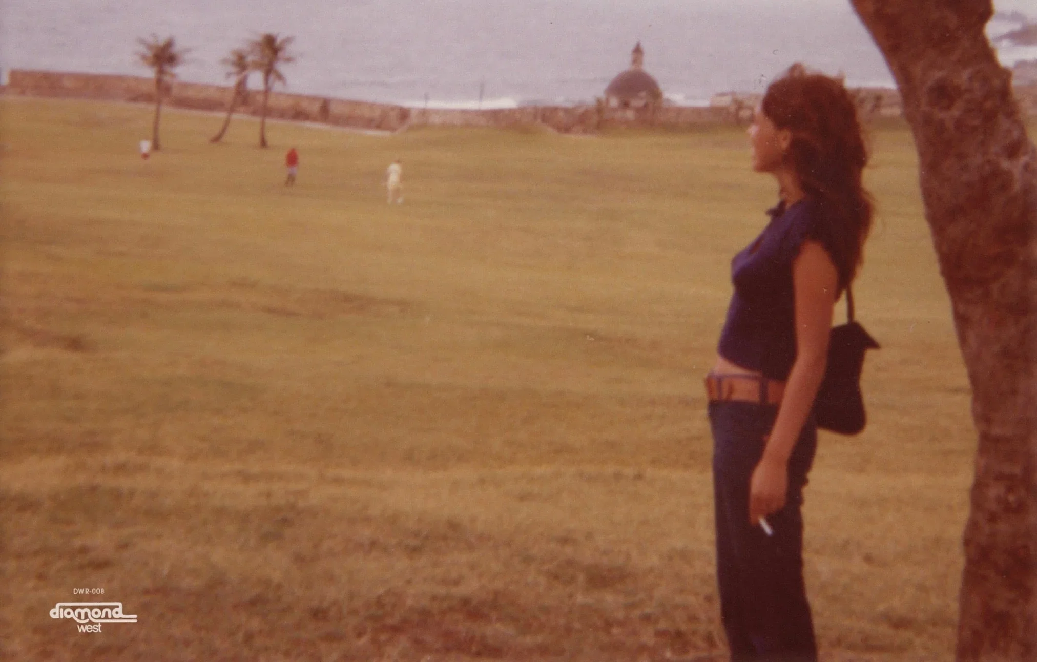 The Sha La Das Stay in the Picture - SPIN