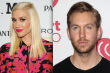 gwen stefani, calvin harris