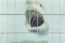 Black Mountain, ‘Wilderness Heart’ (Jagjaguwar)