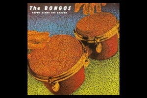 Drums Along the Hudson album cover, Maxwell's, The Bongos