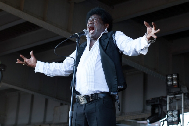 Charles Bradley / Photo by Rebecca Smeyne