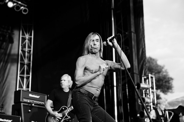 Iggy Pop at Riot Fest, Toronto, August 25, 2013 / Photo by  Jess Baumung