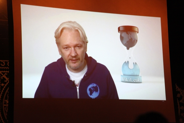 Julian Assange opens for M.I.A. / Photo by Getty Images