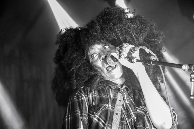 Erykah Badu / Photo by Krista Schlueter