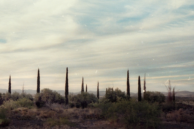 The desert landscape of Arcosanti